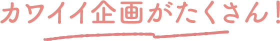 カワイイ企画がたくさん!