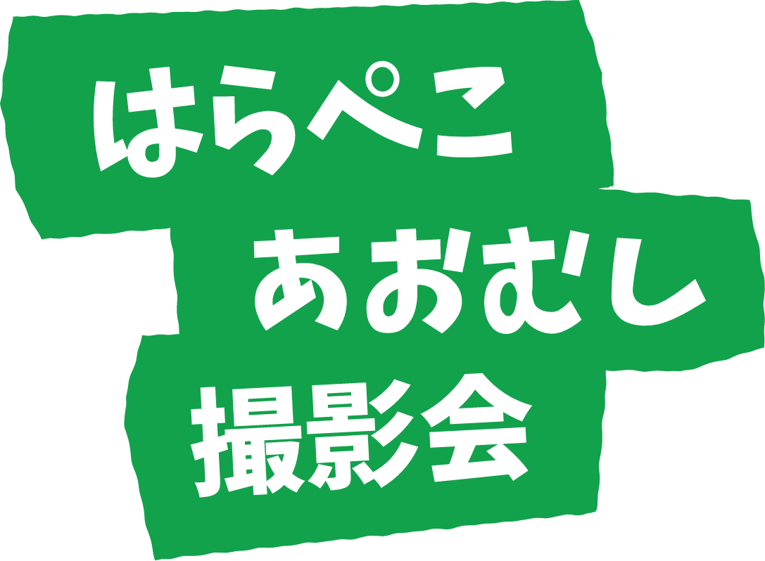 はらぺこあおむし撮影会