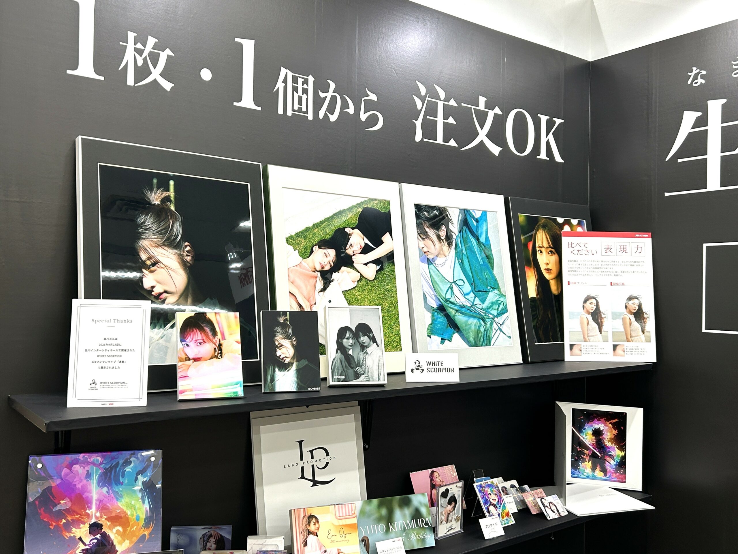 展示品2