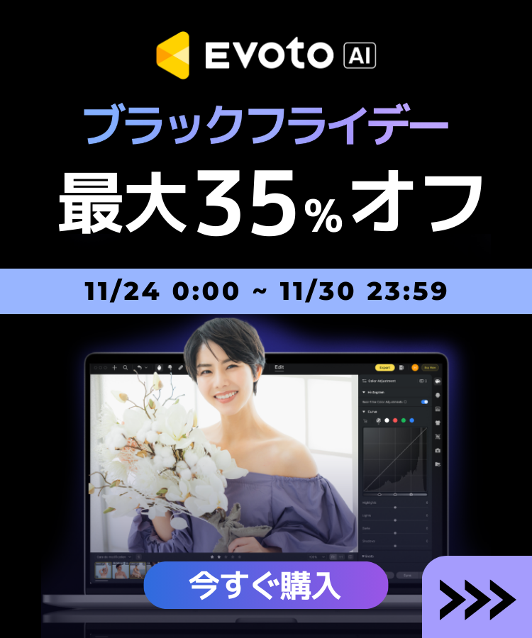 Evotoブラックフライデー